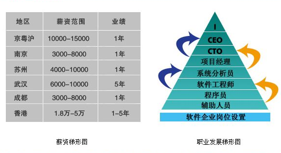 学什么技术最赚钱