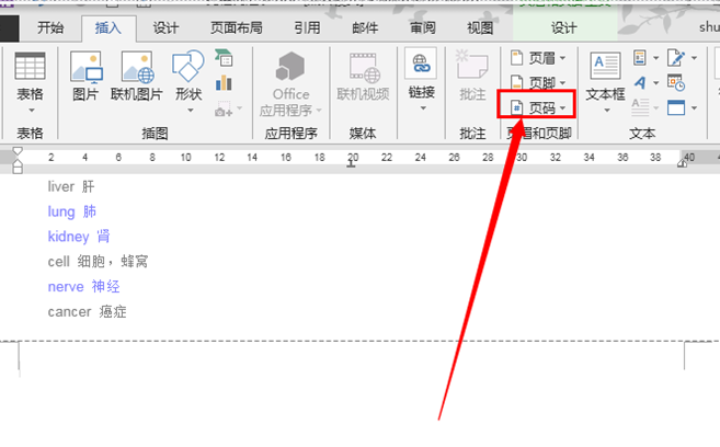 word页码设置