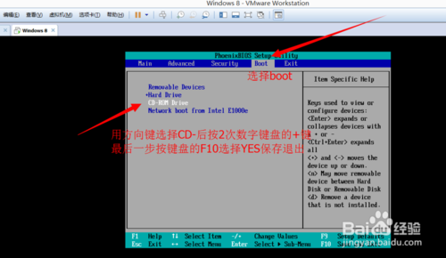 VM12虚拟机安装系统XP系统详细教程