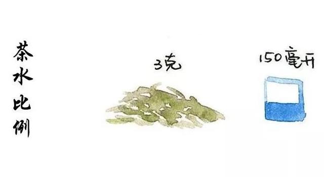 绿茶太苦？手把手教您泡一杯好喝的绿茶